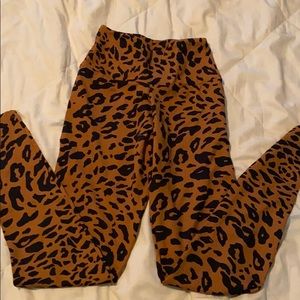 Jungle Booty By Brabants